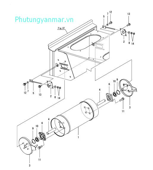 Tang trống buồng cấp lúa